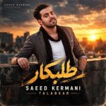 دانلود آهنگ سعید کرمانی به نام طلبکار